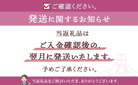 スパークリングワイン KPBeginning 北海道産スパークリングワイン【750ml×2本】