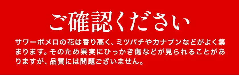 【先行予約】サワーポメロ 10kg 大橘（おおたちばな）よしたか農園 《2027年2月上旬-3月下旬頃出荷》