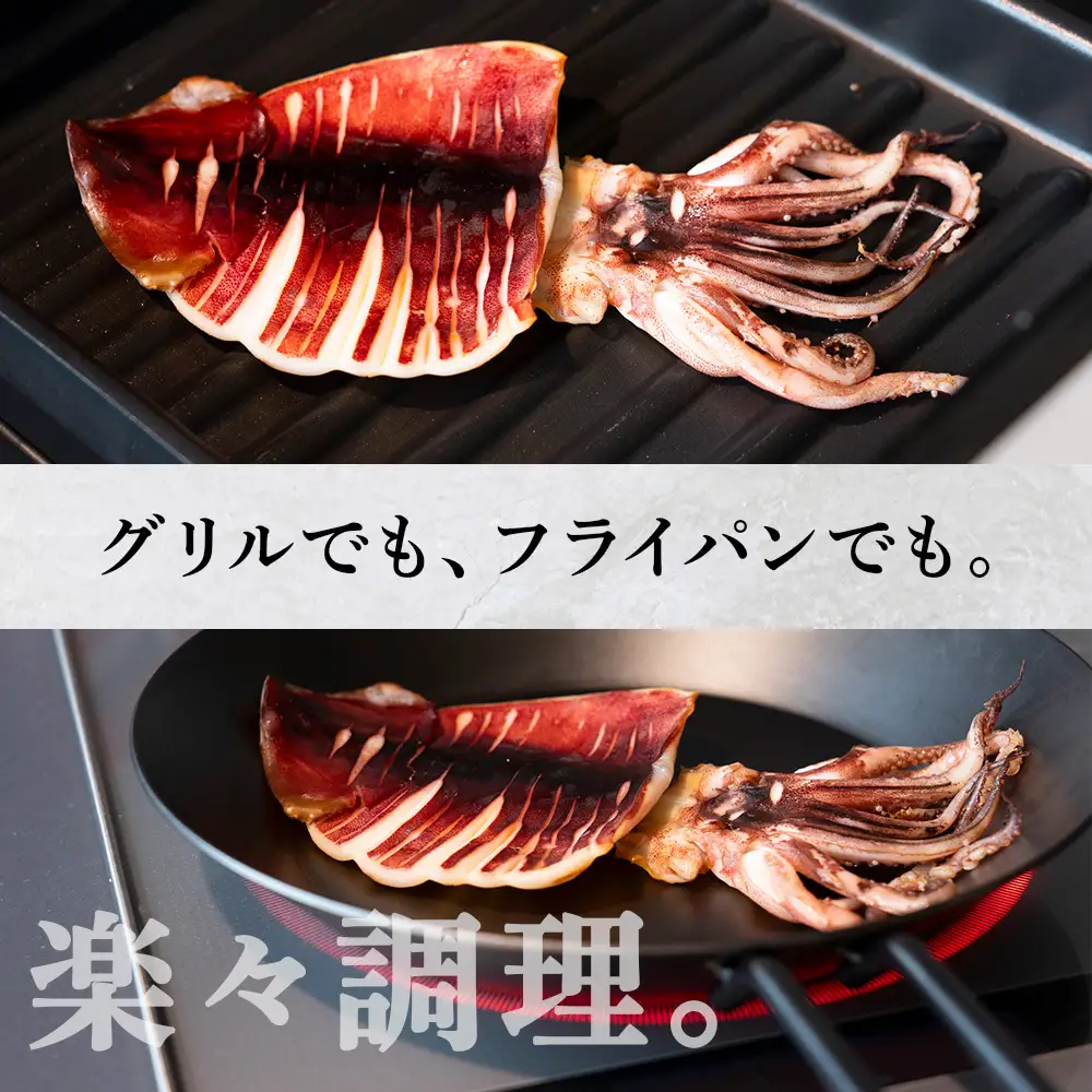 イカ 一夜干し 定期便 ☆毎月届く☆真いかの一夜干し定期便 全６回＜秋元水産＞