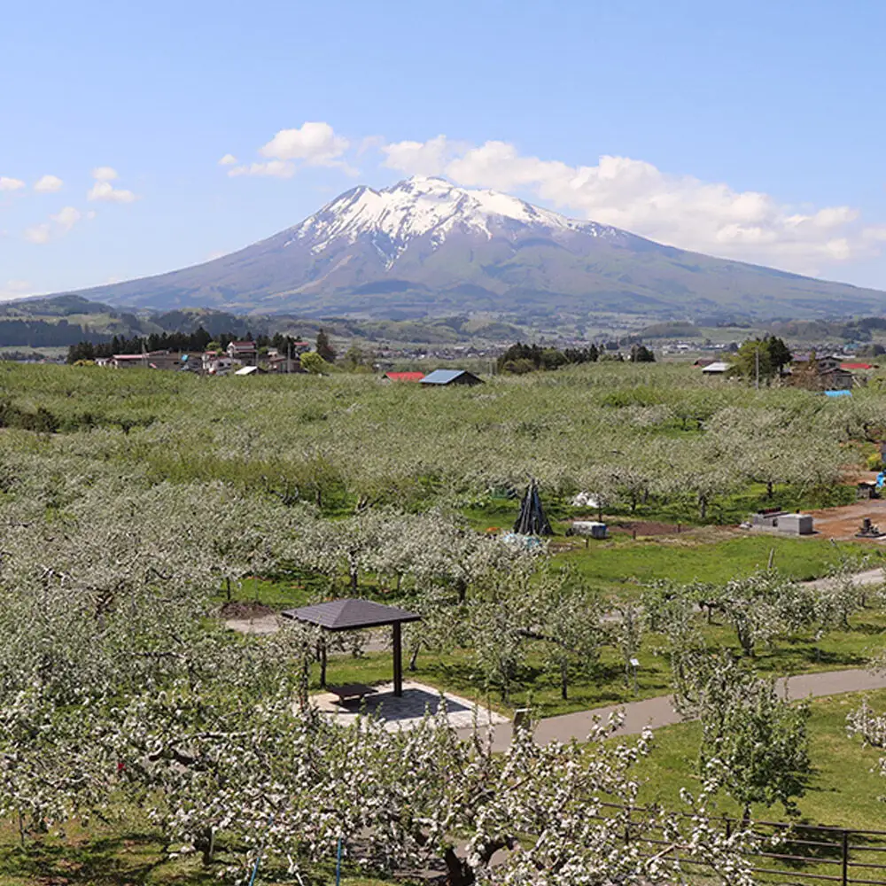 【タクシーでらくらく移動】着地型弘前ねぷたまつり見学ツアー 2名様ご招待＜簡易書留＞
