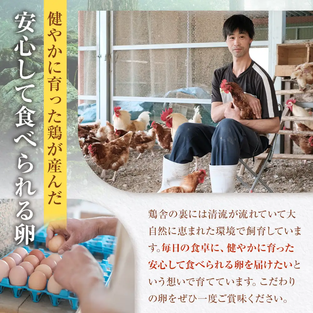 国産飼料にこだわった鶏が産む安全安心の『レモン色たまご』30玉（25玉＋割れ保証5玉）［Hn1］