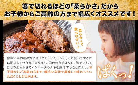 黒毛和牛生ハンバーグ140g×15個 《30日以内に出荷予定(土日祝除く)》 簡単 調理 惣菜 冷凍 牛 湯煎 人気 子供 こども 小分け ハンバーグ 熊本県 玉東町｜人気ハンバーグ 大人気返礼品 ブランドハンバーグ 玉東町ハンバーグ 特産ハンバーグ