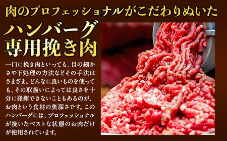あか牛100%生ハンバーグ 4個  あか牛