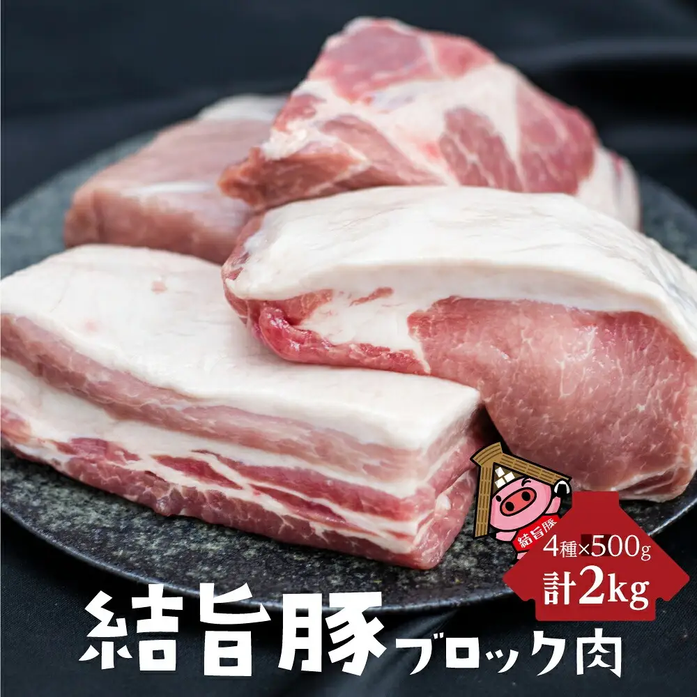 白川郷 まるごと定期便 全5回 お届け 肉 づくし 肉[S249]
