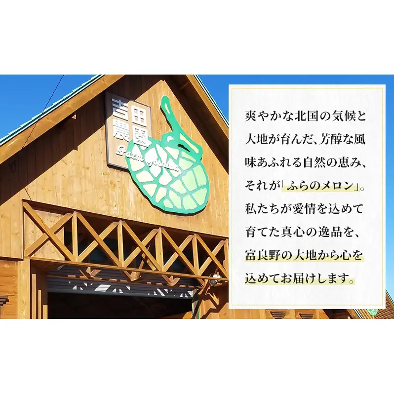 【2026年8月下旬より発送】北海道 富良野 メロン 赤肉 2玉 計約3.6kg メロン フルーツ 果物 新鮮 甘い 贈り物 ギフト 道産 ジューシー おやつ ふらの ブランド 夏  (吉田農園)