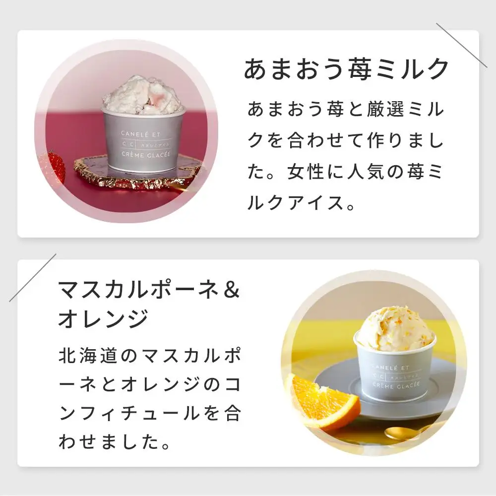 【世界ジェラート騎士手作りの】至福のアイス　８個入り