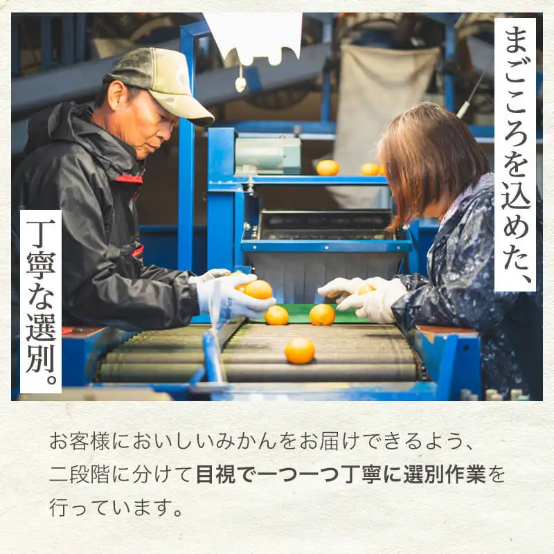 濃厚完熟！ 有田みかん 約3kg (2S～Lサイズ混合 家庭用)_BG6111n