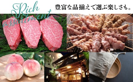 後からゆっくり返礼品を選べる♪飛騨市のふるさと納税カタログ 飛騨牛 日本酒 定期便 など200種以上[HT051CAT]