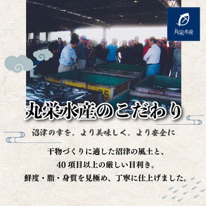 一夜干し 沼津の幸 真あじ 金目鯛 かます イカ 4種類 セット 干物 一夜干し