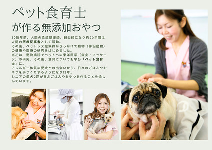 FB061_犬と猫の無添加おやつ☆お塩不使用☆黄金の燻製にぼし
