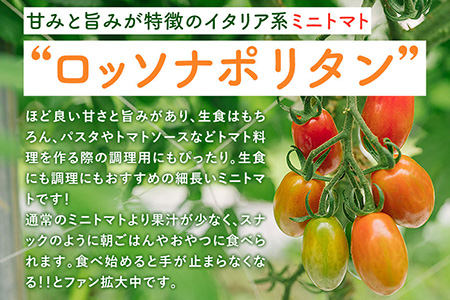 スナックみたいにパクパク食べられるミニトマト「ロッソナポリタン」　1.5kg