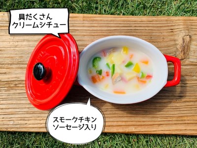 FB155_犬の無添加ごはん☆具だくさんカレー＆クリームシチュー＆ミネストローネ☆スモークソーセージ入り【各2袋・全6袋】定期便全12回