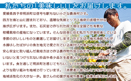 ＜黄金柑ジュース 720ｍ×2本セット＞ 果汁100％ ストレート ジュース おうごんかん 柑橘 ミカン 蜜柑 みかん オレンジ 果物 フルーツ 飲料 無添加 ギフト 贈り物 特産品 二ノ宮商事株式会社 愛媛県 西予市【常温】『2026年3月下旬から順次出荷予定』ANS0006