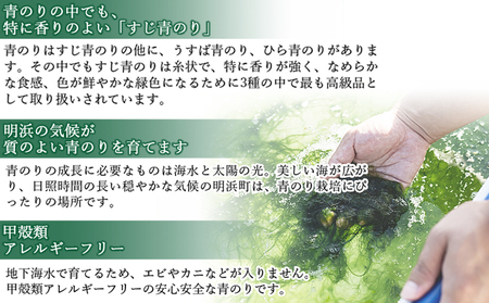 ＜打ち抜き海水で育てた「すじ青のり」（原藻3g×5パック）＞ 甲殻類アレルギーフリー 色づけ 香りづけ お好み焼き たこ焼き 焼きそば 天ぷら おはぎ ピザ 佐藤真珠 愛媛県 西予市【常温】『最短10営業日以内に順次発送予定』ASS0001