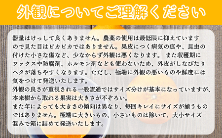 【先行予約】＜見た目は悪いが味は絶品 無茶々園の甘平 約3kg（15玉前後）＞果物 かんぺい みかん 蜜柑 柑橘 フルーツ 期間限定 季節限定 数量限定 無茶々園 特産品 愛媛県 西予市【常温】『2027年2月上旬頃から順次出荷予定』AMC0013