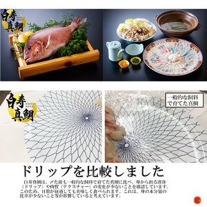 ＜白寿 真鯛 約400g と秘伝のタレ＞『7月下旬より順次出荷予定』 まだい マダイ タイ たい 養殖 魚介 お魚 海鮮 鯛めし お刺し身 切り身 骨抜き 骨なし 皮なし お祝い 御祝い 赤坂水産 寿司 和泉屋 愛媛県 西予市【冷蔵】 MSI0001