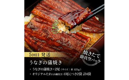 コロナ支援事業者さんを救いたい5か月定期便／1回目:マグロの漬け丼、2回目:極カツオのたたき×2節・銀象ソルト+土佐にんにくぬた、3回目:赤＆白ホルモンセット、4回目:塩昆布14日間熟成マグロ赤身＆中トロセット、5回目:「西岡うなぎ」蒲焼き2尾セット～並～