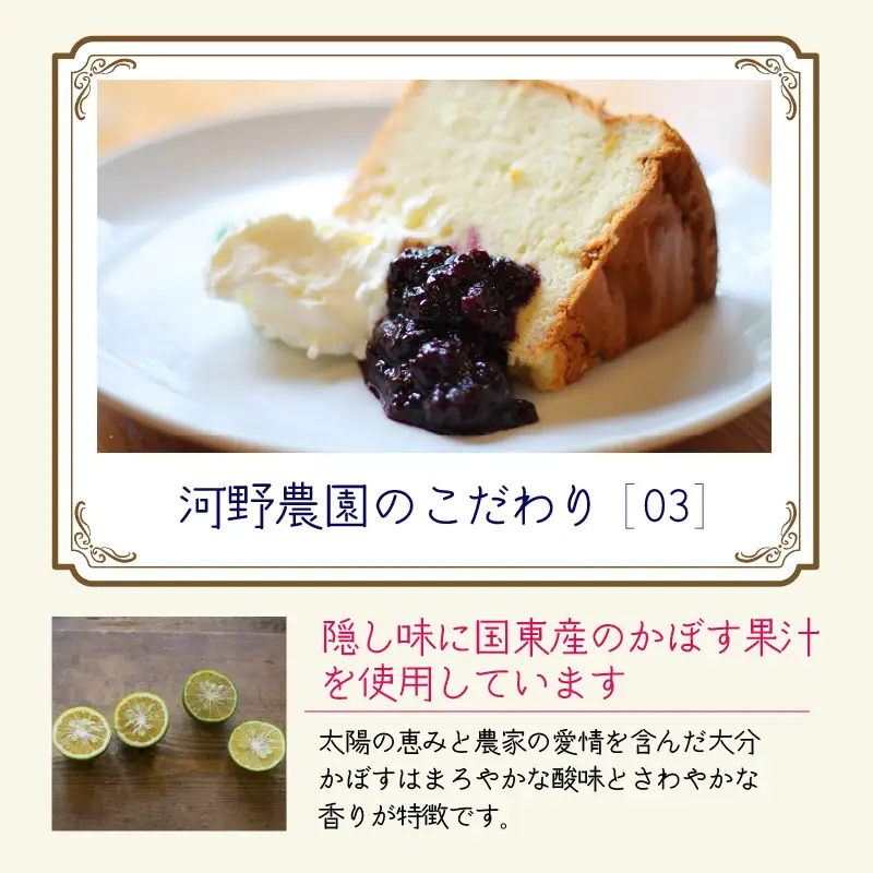河野農園の酸化防止剤無添加ブルーベリーソース150g×5本_1450R