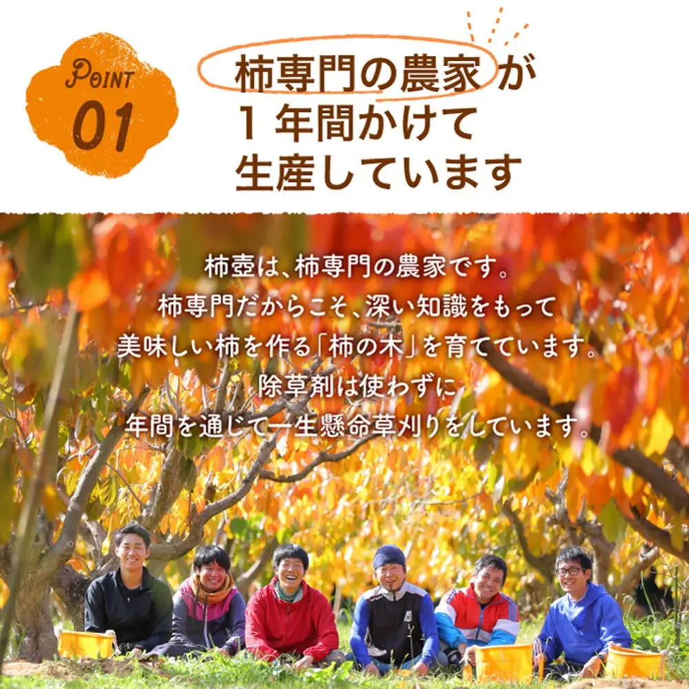 【柿専業の農家が作る】出雲産甘柿のドライフルーツ