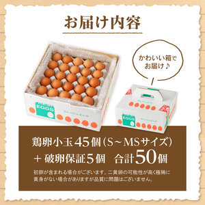【ふるなびWEEK対象】たまご 水の恵み小卵 45個 S～MSサイズ 破卵保証5個入り　たまご 卵  [h081]
