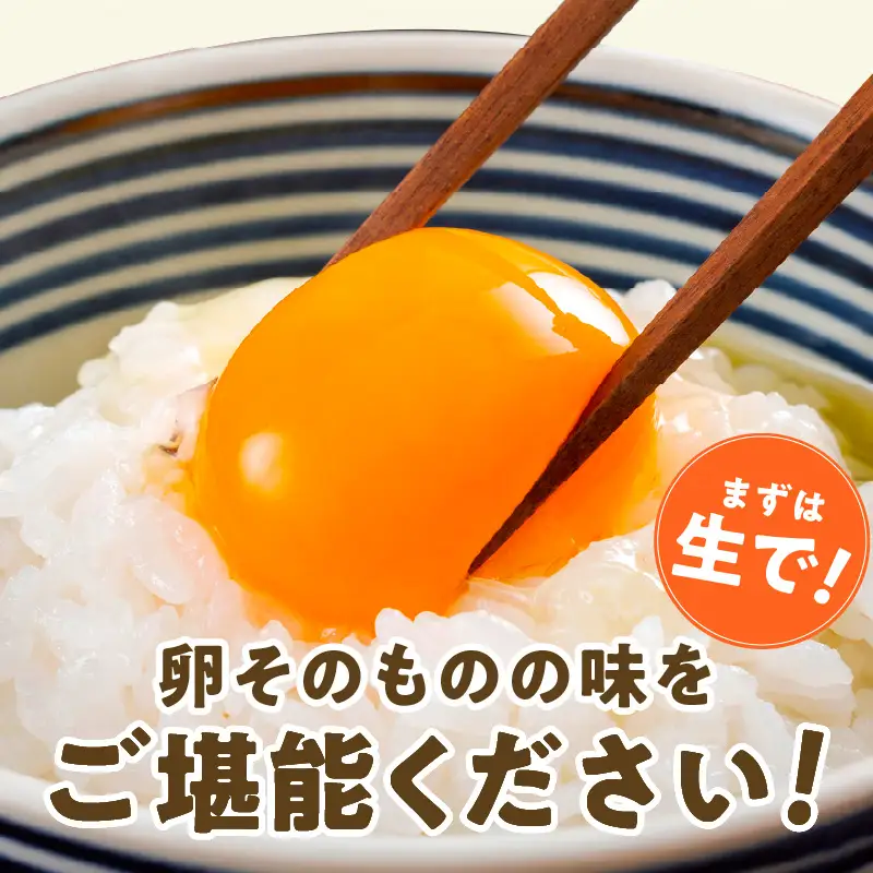 戸野さん家のこだわりタマゴ 定期便 30個×全6回 Mサイズ 合計 180個