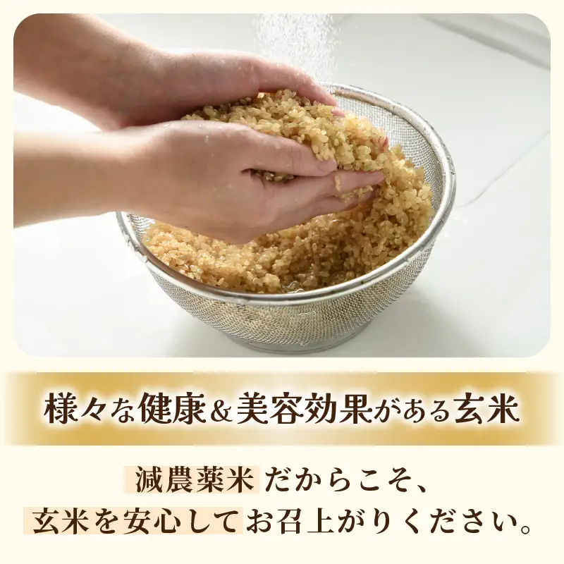 【先行予約】【令和8年産 新米】ワルツ農場のコシヒカリ 玄米 5kg 特別栽培米【納得の美味しさ】減農薬 有機肥料使用 / お米 ご飯 つや 艶 甘味 旨み あわら市 米の王様 こしひかり ブランド米 北陸 あわら市産 福井県産 ※2026年10月下旬以降発送予定 [aw046-a008]