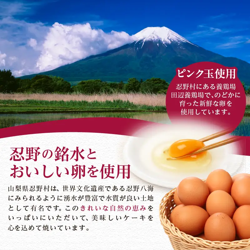 【ふるなびWEEK対象】リンゴぎっしりアップルパイ スイーツ デザート
