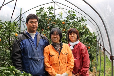 とびっきりの愛媛片山果樹園 清見タンゴール 贈答用 MKK0004