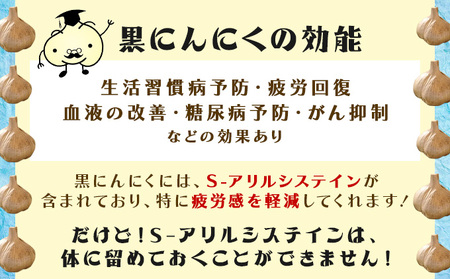 青森県産熟成にんにく元気くん　セットＡ 【送料無料 青森県 七戸町 にんにく ガーリック 野菜 低臭真空処理 黒にんにく】　【670286】