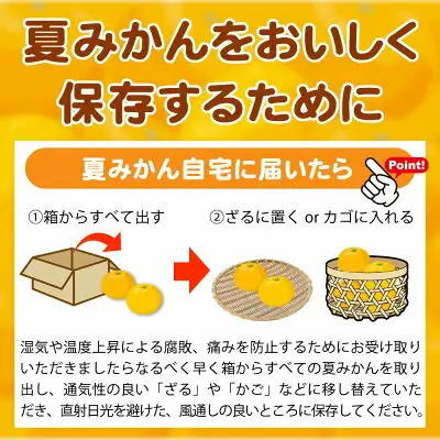 【2027年先行予約】湯浅産 夏みかん 7.2kg_G7074