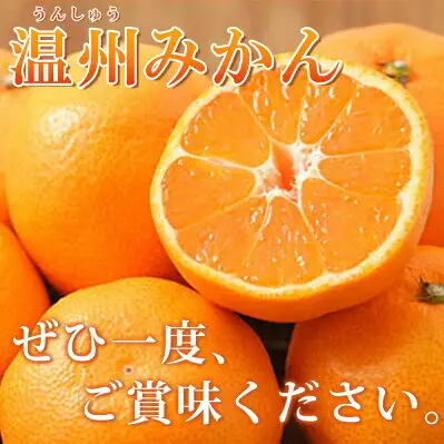 【2026年11月下旬より発送】紀州 有田産 濃厚甘熟 温州みかん 5kg (小粒サイズ)_G7344