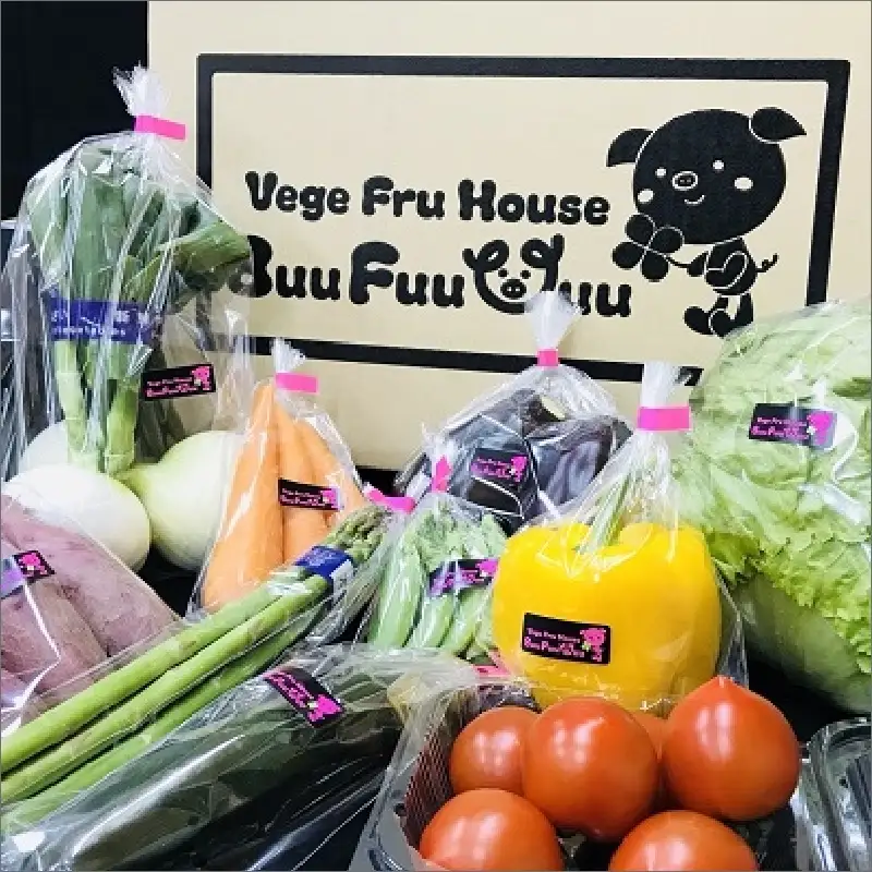 農業姉妹がこだわって栽培！白米5kgと旬の野菜10種 半年定期便【024A-030】