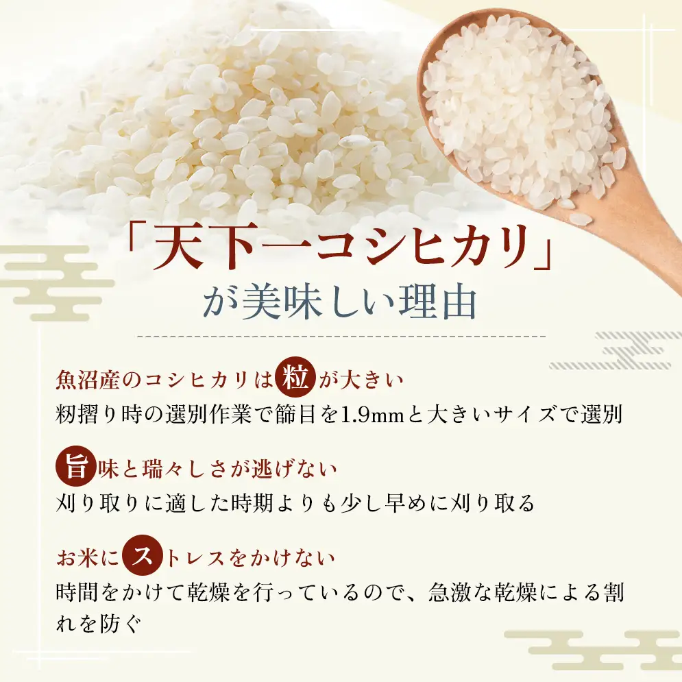 定期便 魚沼産 天下一コシヒカリ（商標） 3kg 本当に旨い飯に おかずはいらない 魚沼産 コシヒカリ お米 精米 3キロ 全3回( 米 お米 こめ コメ おこめ 白米 こしひかり ) 