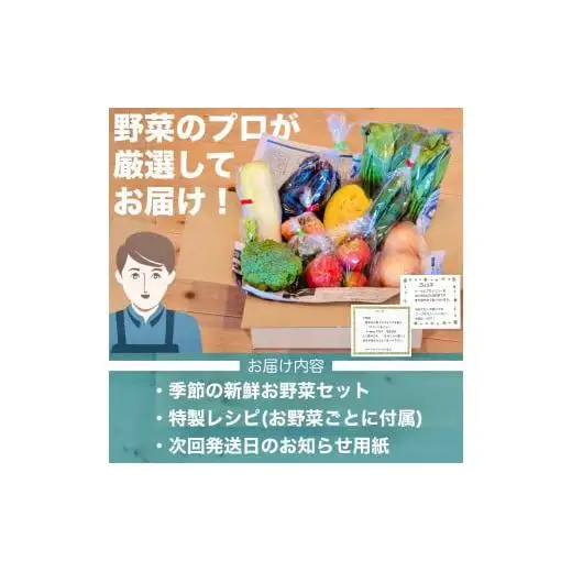 【 野菜 】 野菜定期便 12ヶ月