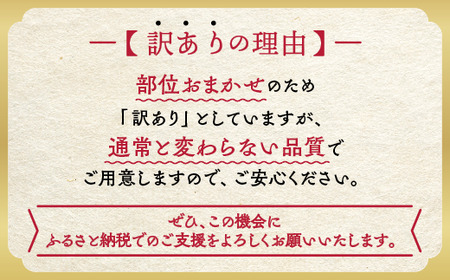 【6回定期便】訳あり 京都府産黒毛和牛 牛肉切り落とし 600g 牛肉切り落とし