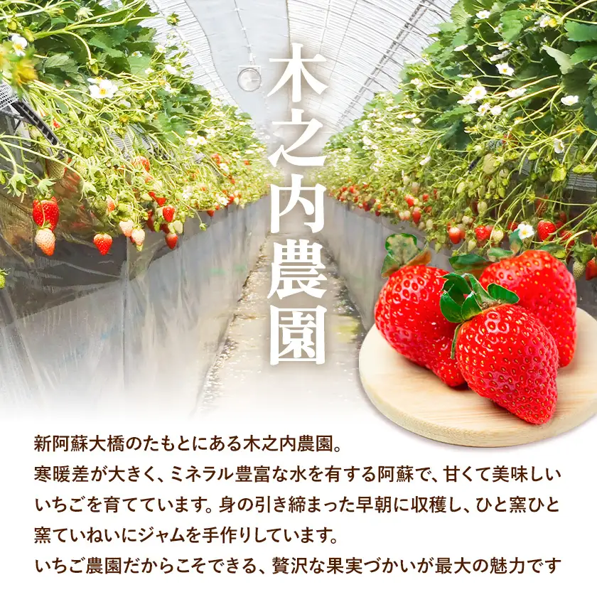 手作り いちご ジャム ブルーベリー ジャム 1kg×2本|木之内農園