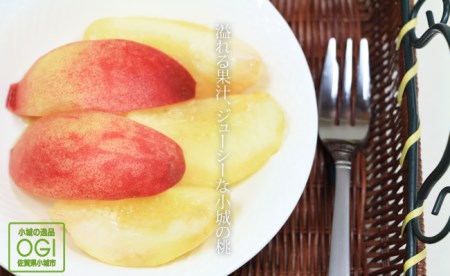 ご家庭用小城の桃（1kg） A070-046