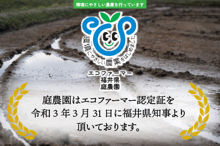 【令和7年産】【有機栽培】越前大野産 エコファーマー認定農家栽培 こしひかり5kg（玄米）[A-001036]