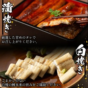 秘伝のスタミナ鰻かば焼き・白焼きセット b0-119