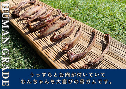 FB171_超小型犬向け☆天然いのししの骨ガム100g【定期便】全12回