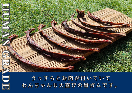 FB173_小型犬向け☆天然いのししの骨ガム200g【定期便】全6回