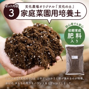 はじめての家庭菜園キット「サラダガーデン」（プランター色：ブラウン）011BK02N.／レタス 苗 サラダ野菜 苗 プランター ガーデニング 野菜 栽培 ベランダ菜園 野菜苗 培土 園芸
