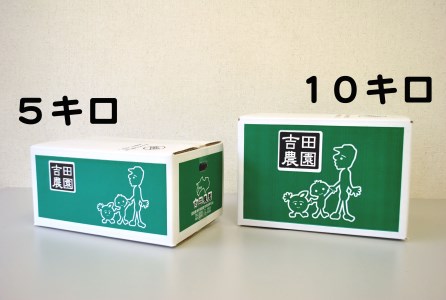 【訳あり】 河内晩柑 愛南ゴールド 5kg 河内晩柑