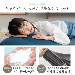 フィットチェア MOGU プレミアム ビーズクッション 全5色 フィットチェア【カバー付】 ﾈｲﾋﾞｰ