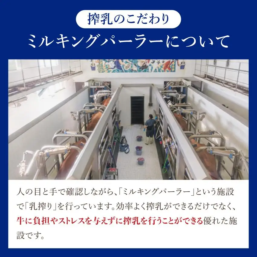 [5525-0418]月2回×2ヶ月お届け！牧家(Bocca)【ふるさとの味】だて牛乳1L×12本セット