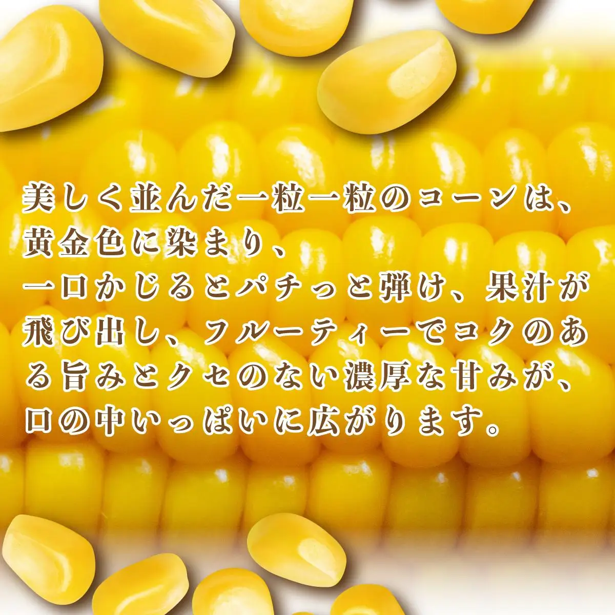 ＜2026年先行予約＞北海道産 朝もぎ とうもろこし 恵味 L-LLサイズ 約400g×10本 スイートコーン ゴールドコーン トウモロコシ とうきび コーン 旬 完熟 野菜 甘い おやつ 産地直送 お取り寄せ 北海道 藤川農園 送料無料 伊達 55250480
