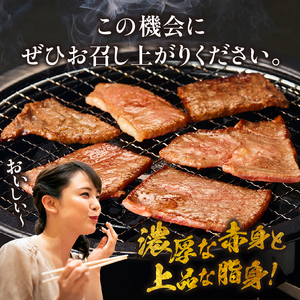【訳あり】宮崎牛焼肉バラエティおためし500g（宮崎牛 ブランド牛 牛肉 ） 