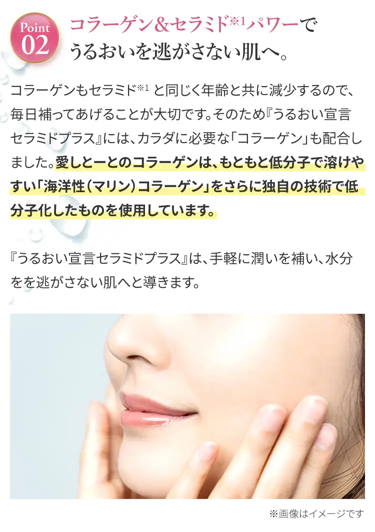 うるおい宣言セラミドプラスα アサイー味 1箱 30本入 約1ヶ月分 コラーゲンゼリー 脂質ゼロ スティック