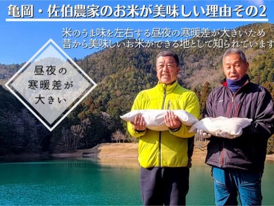 【令和6年産先行予約】米 白米 定期便 5kg×2ヶ月 10kg コシヒカリ 佐伯の里の源流米