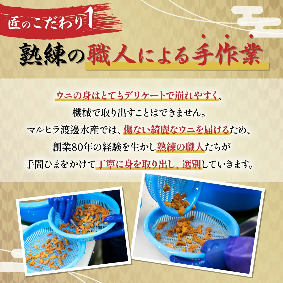 無添加 極上エゾバフンウニ 塩水パック 100g 【mh-0462_B】